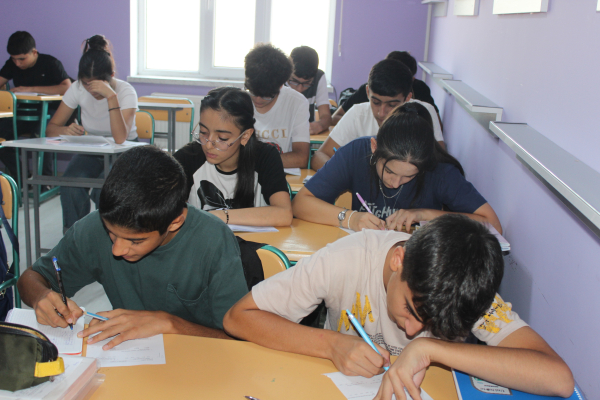 Lesson Plan